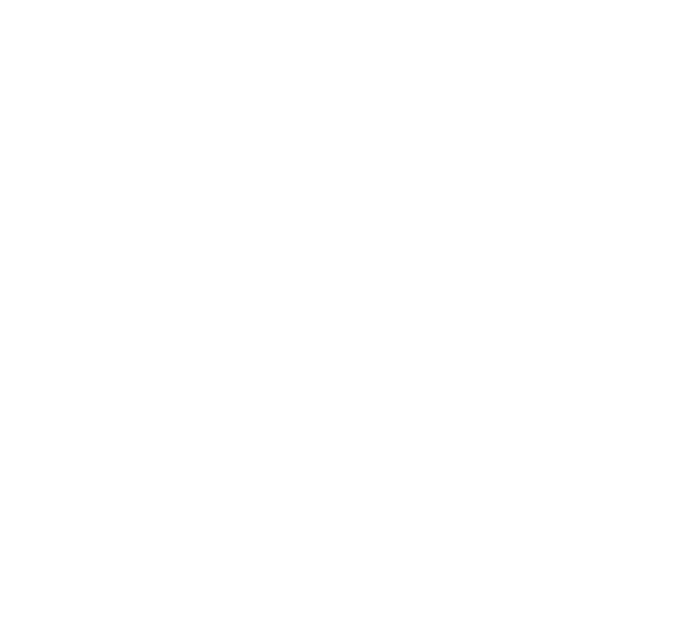 Amaro Studios